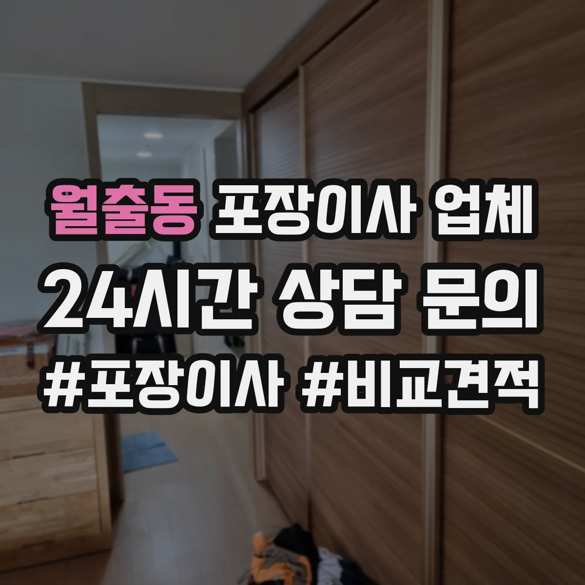 월출동 포장이사 업체