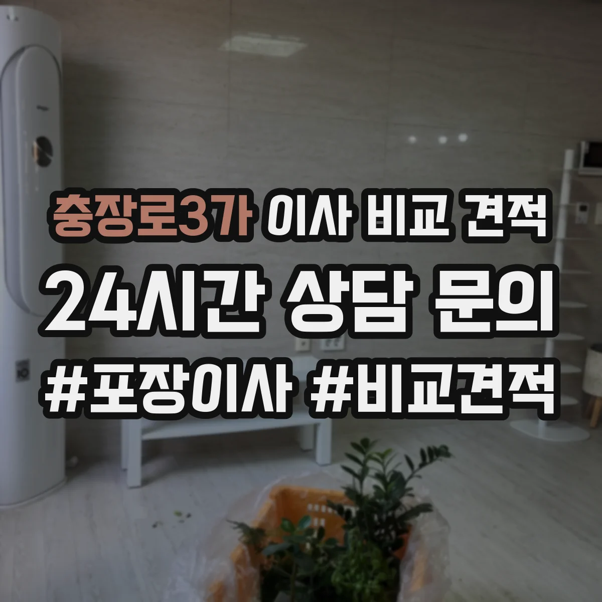 충장로3가 이사 비교 견적