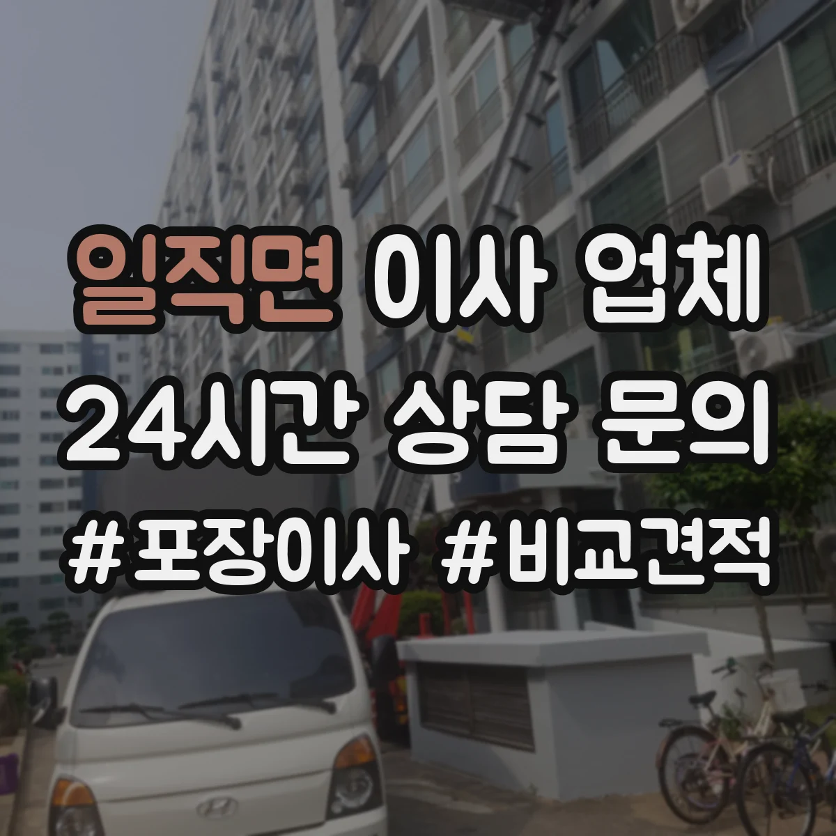 일직면 이사 업체
