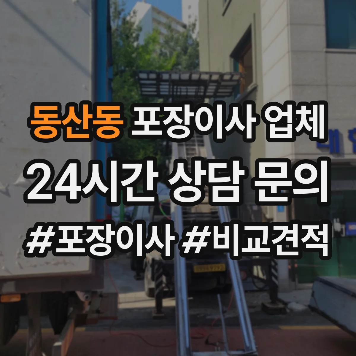 동산동 포장이사 업체
