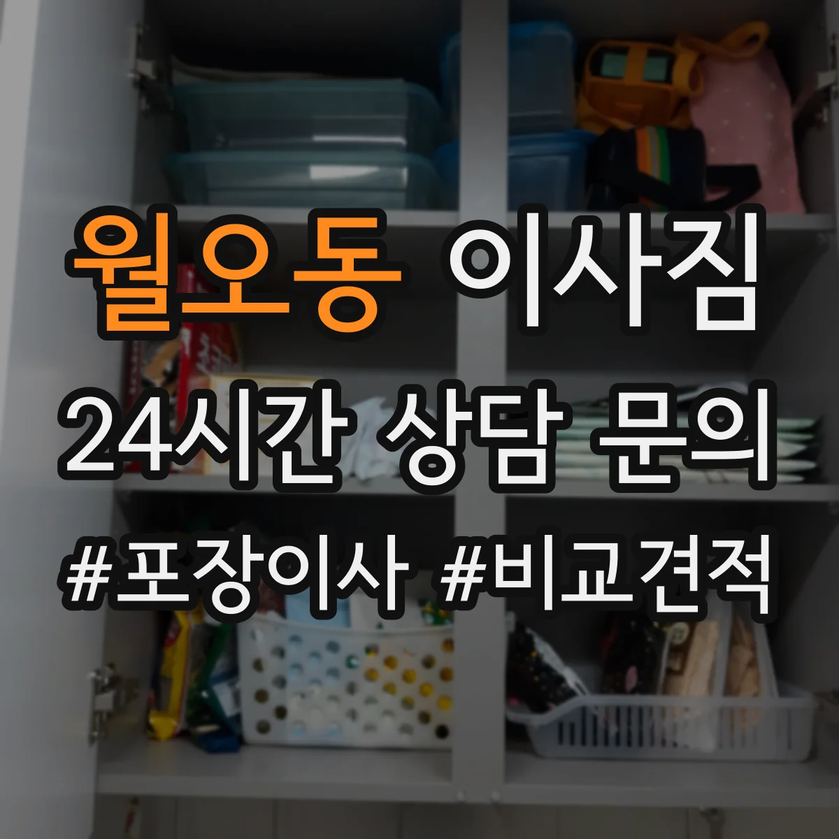 월오동 이사짐