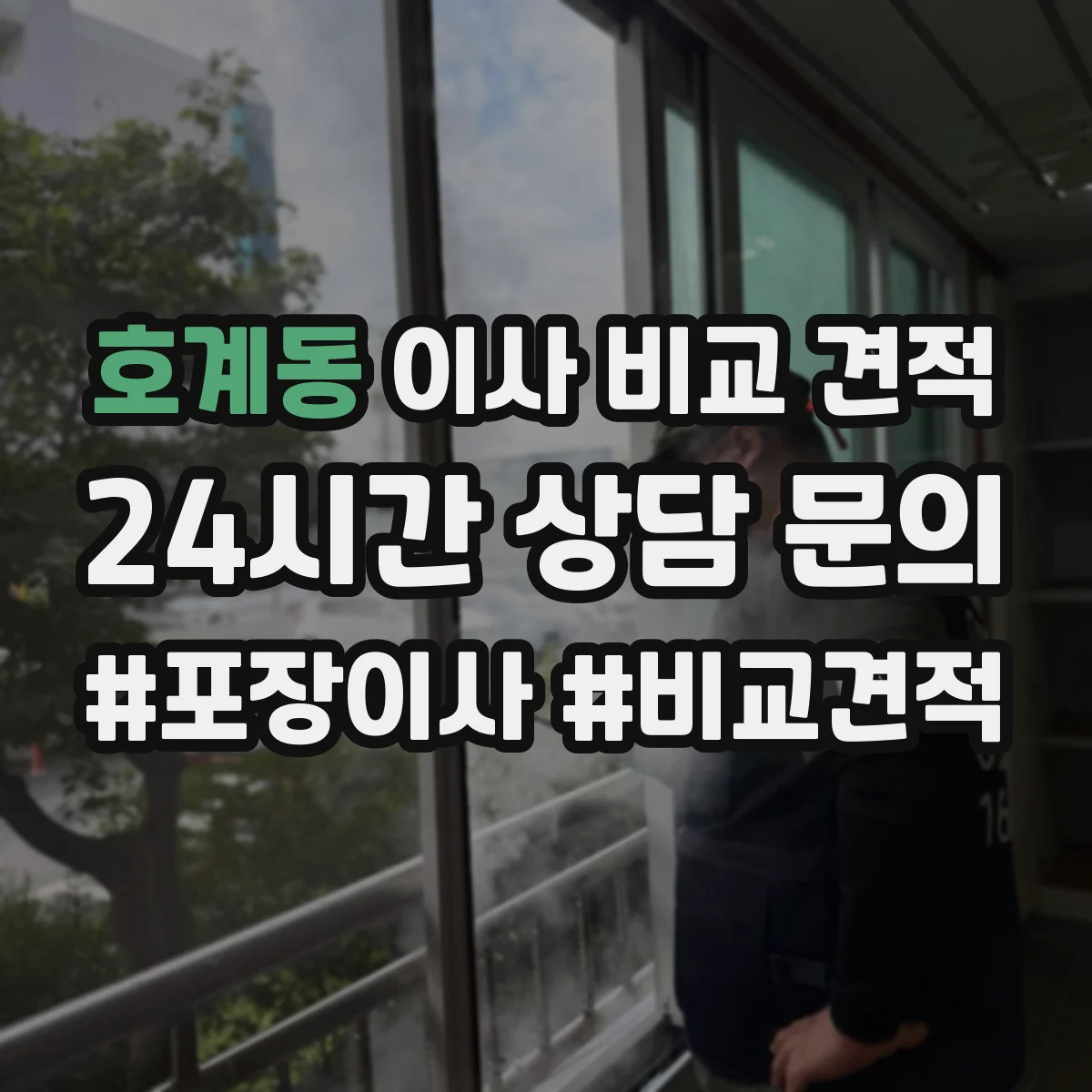 호계동 이사 비교 견적