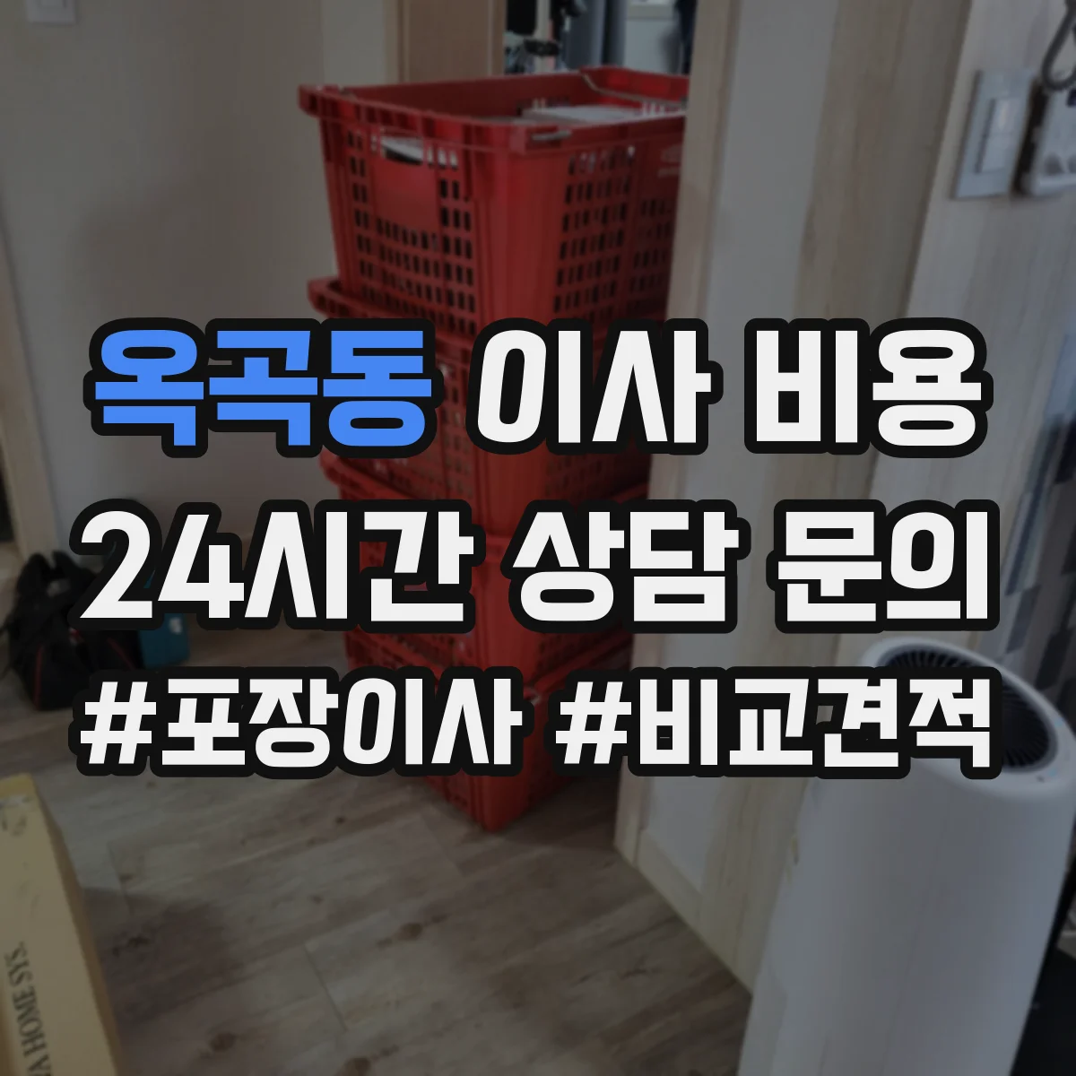 옥곡동 이사 비용