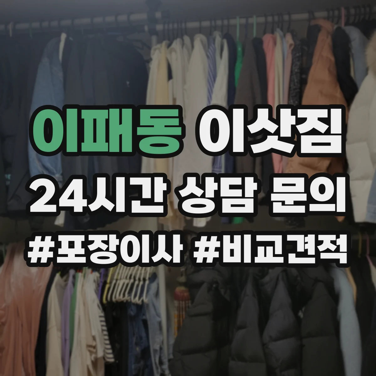 이패동 이삿짐