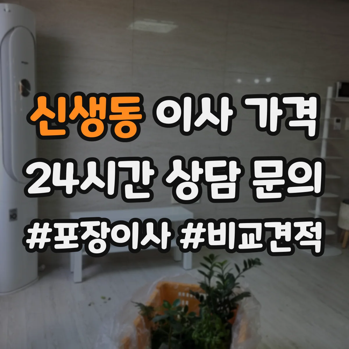 신생동 이사 가격
