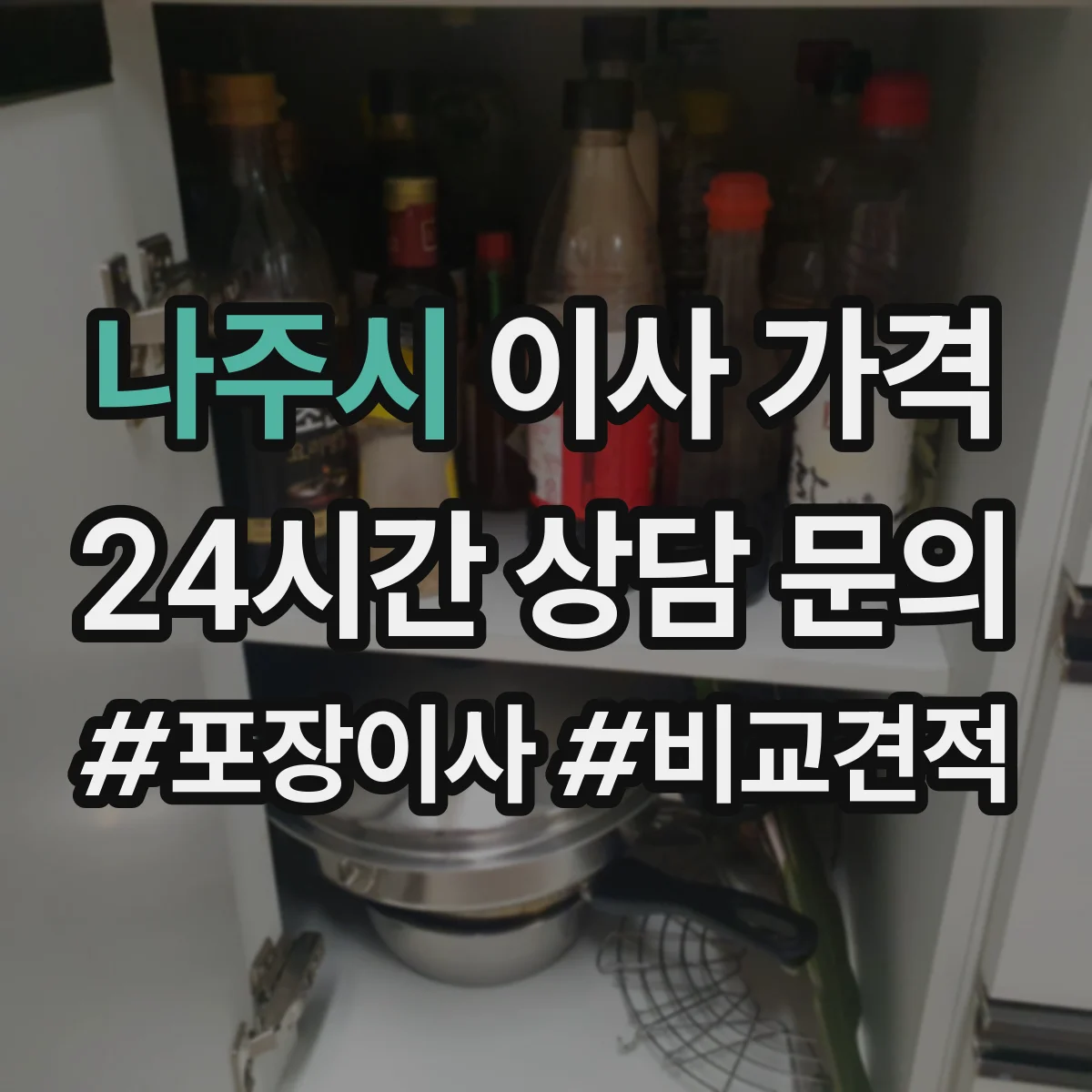나주시 이사 가격