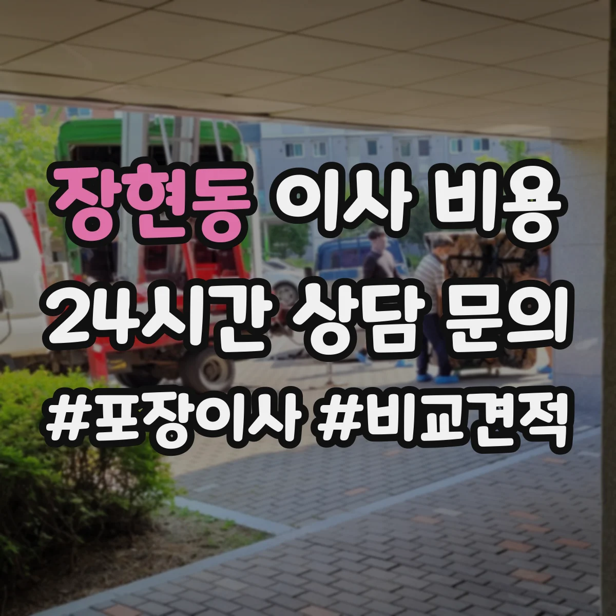 장현동 이사 비용