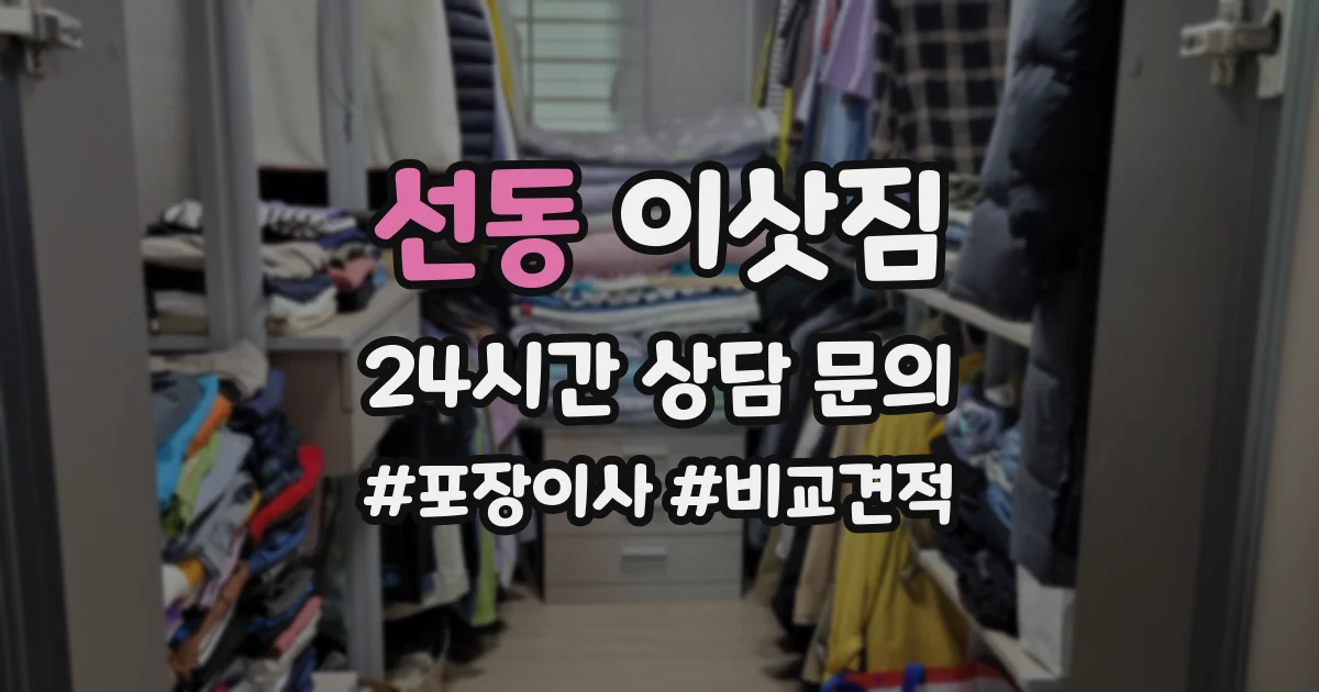 선동 이삿짐