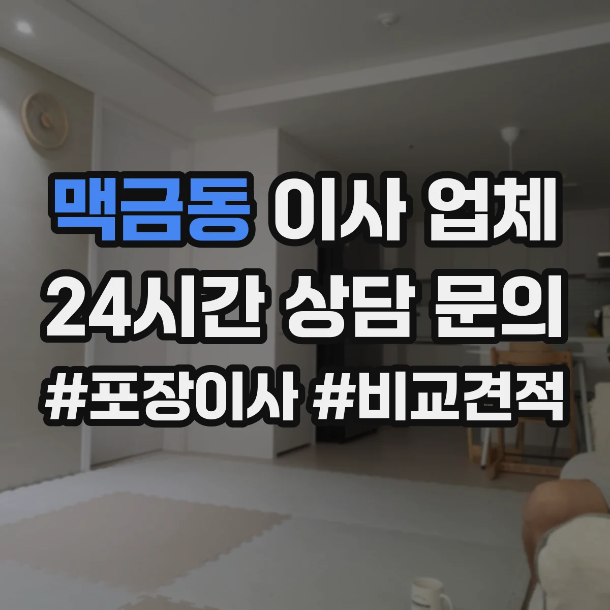 맥금동 이사 업체