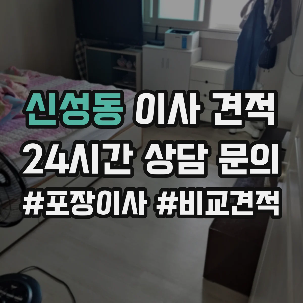신성동 이사 견적