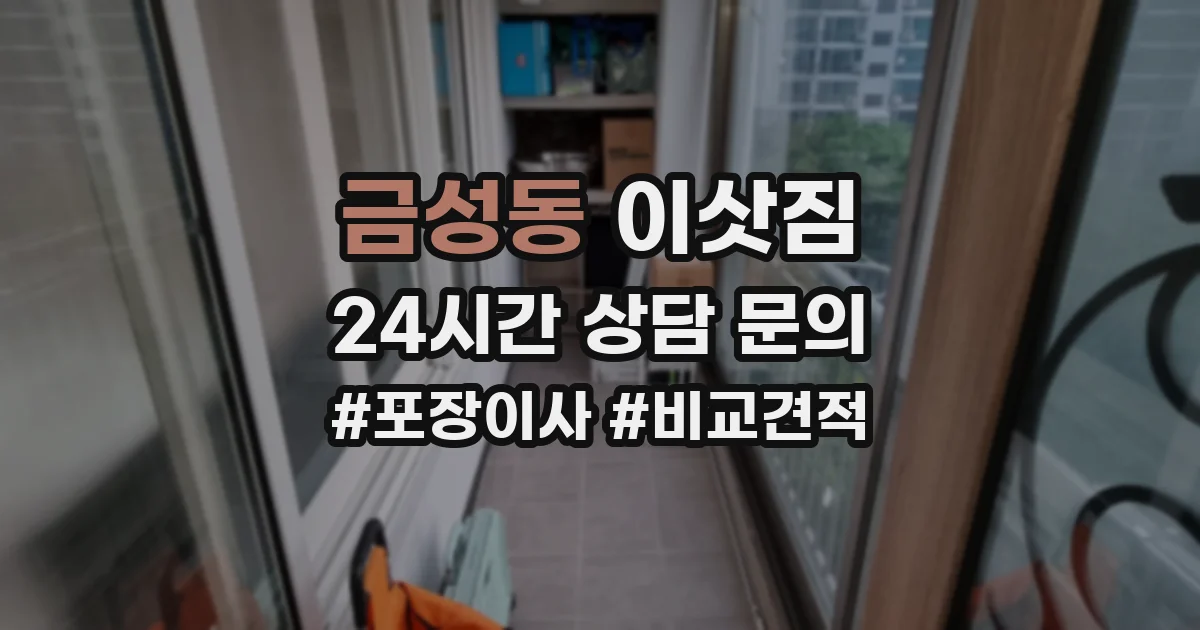 금성동 이삿짐