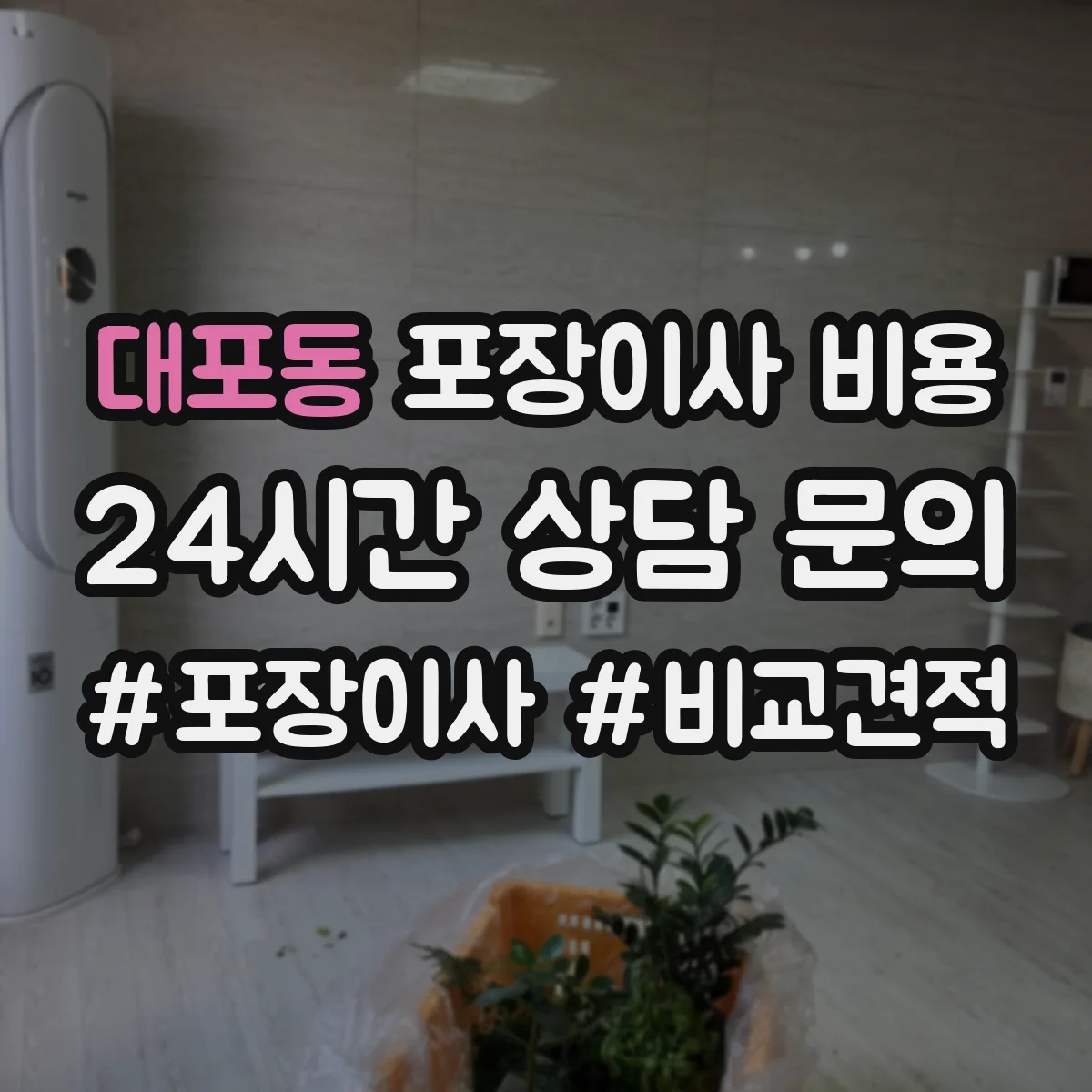 대포동 포장이사 비용