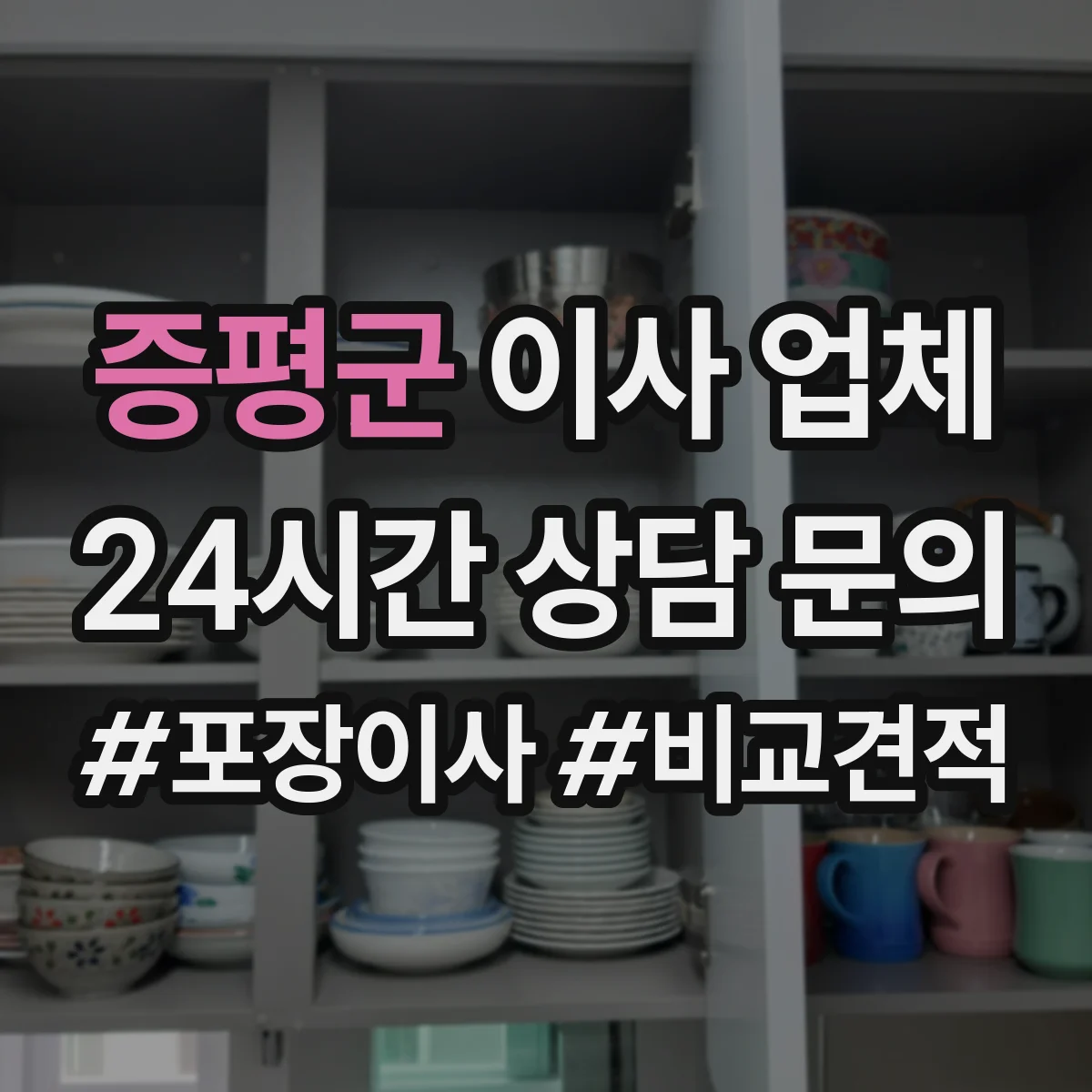 증평군 이사 업체