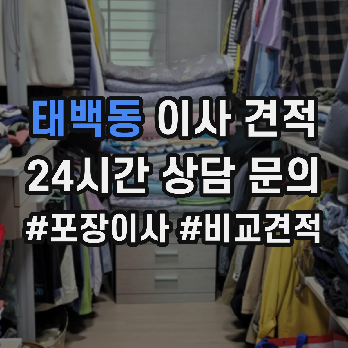 태백동 이사 견적