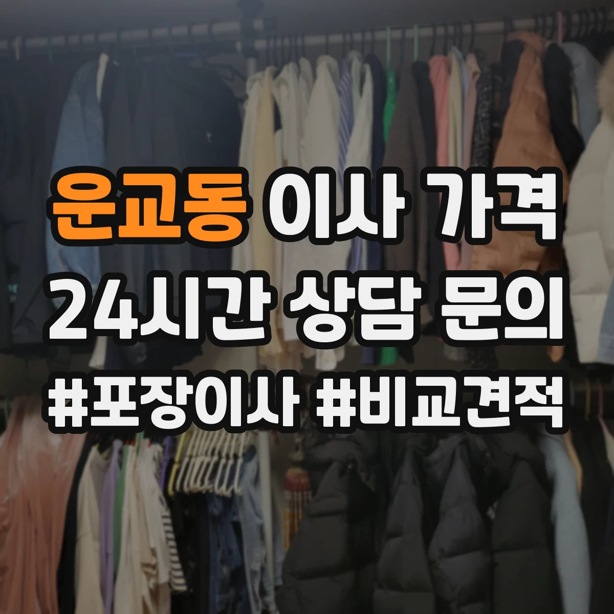 운교동 이사 가격