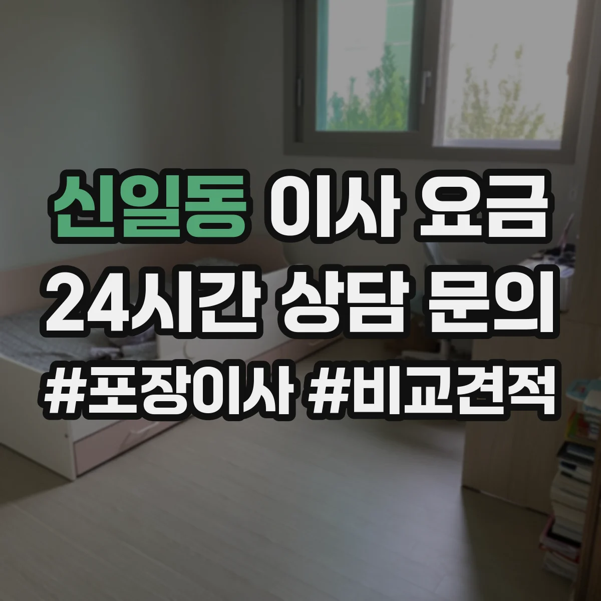 신일동 이사 요금