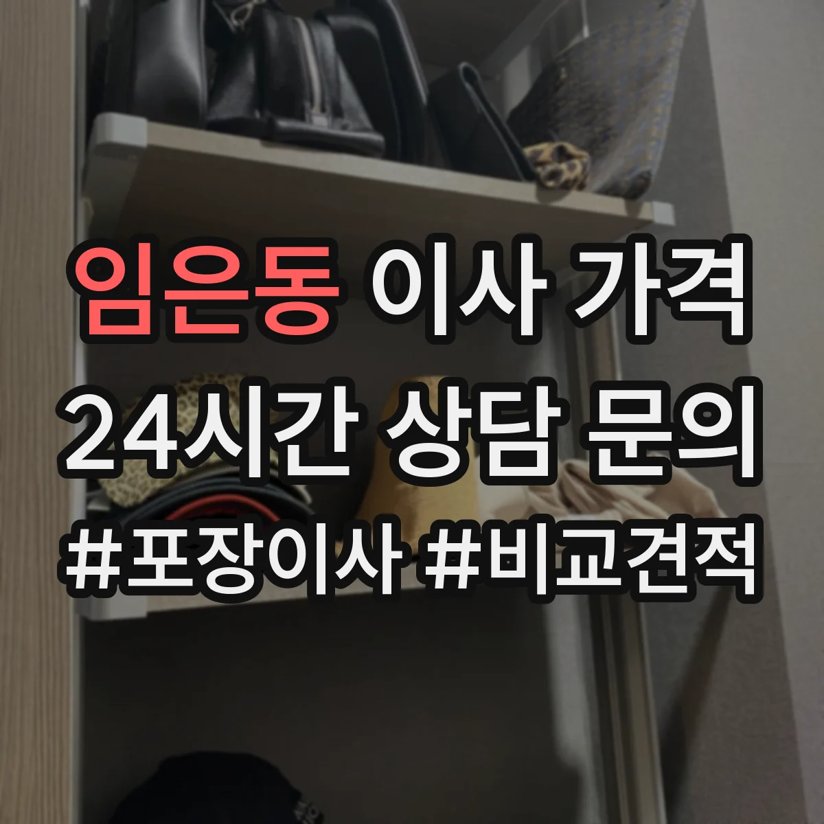 임은동 이사 가격