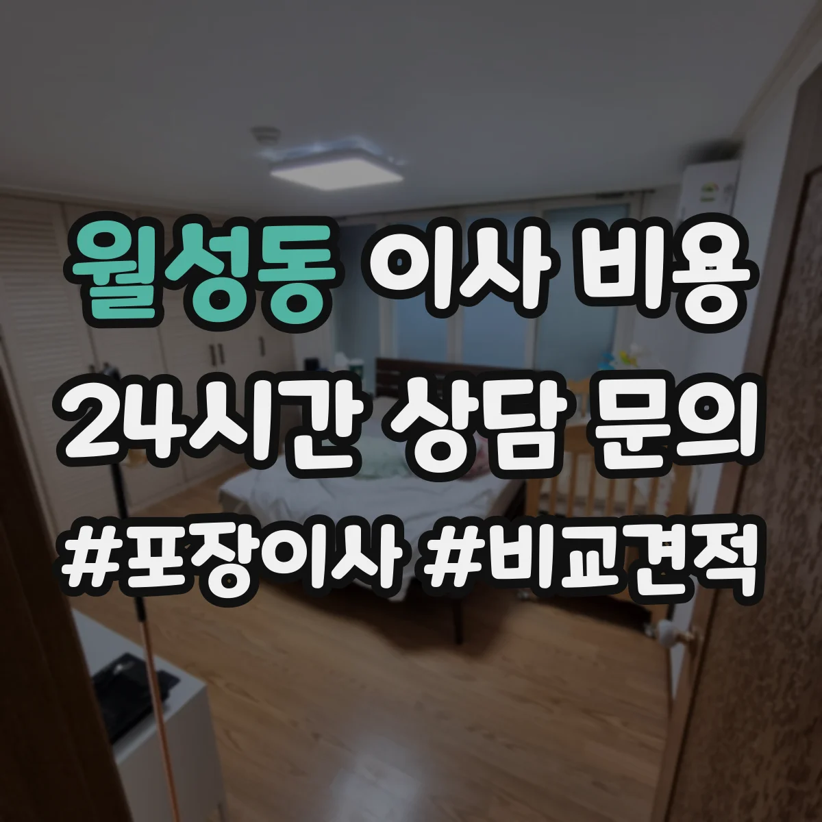 월성동 이사 비용