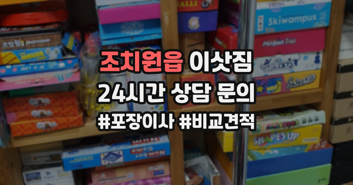 조치원읍 이삿짐