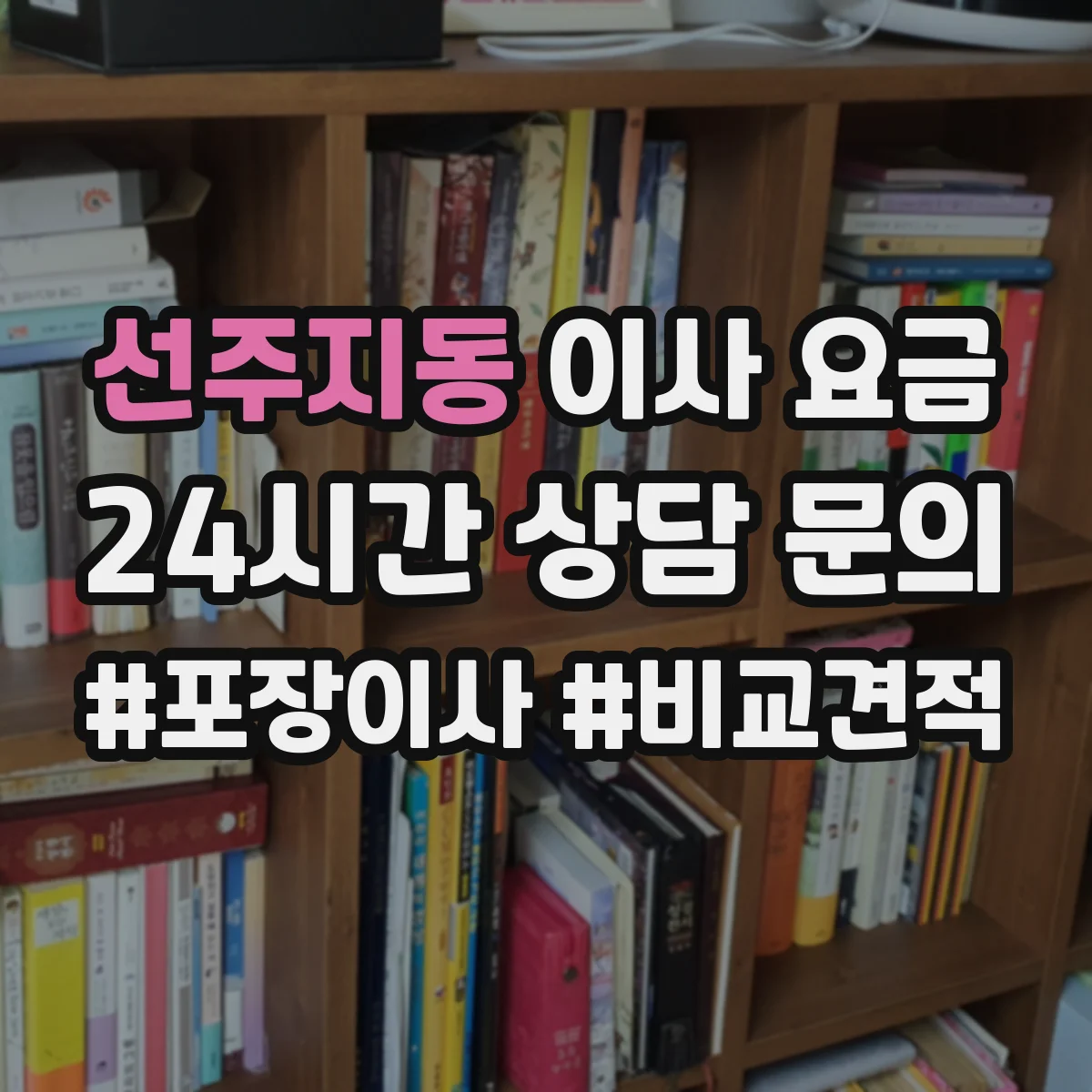 선주지동 이사 요금