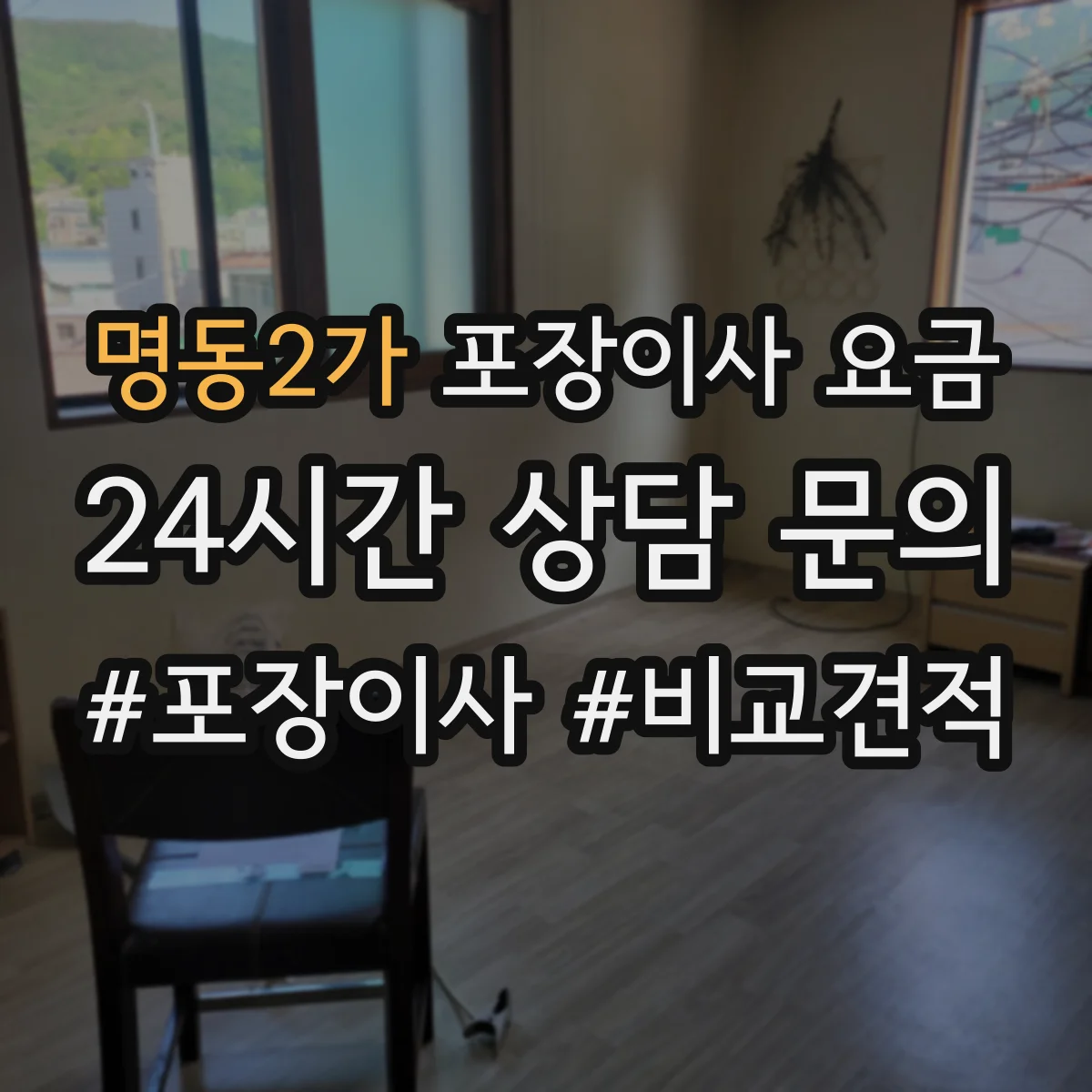 명동2가 포장이사 요금
