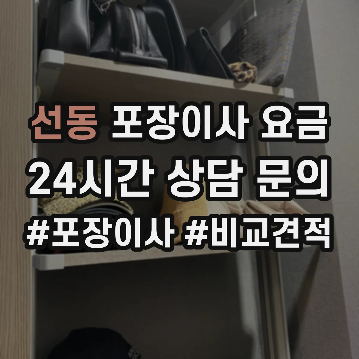 선동 포장이사 요금
