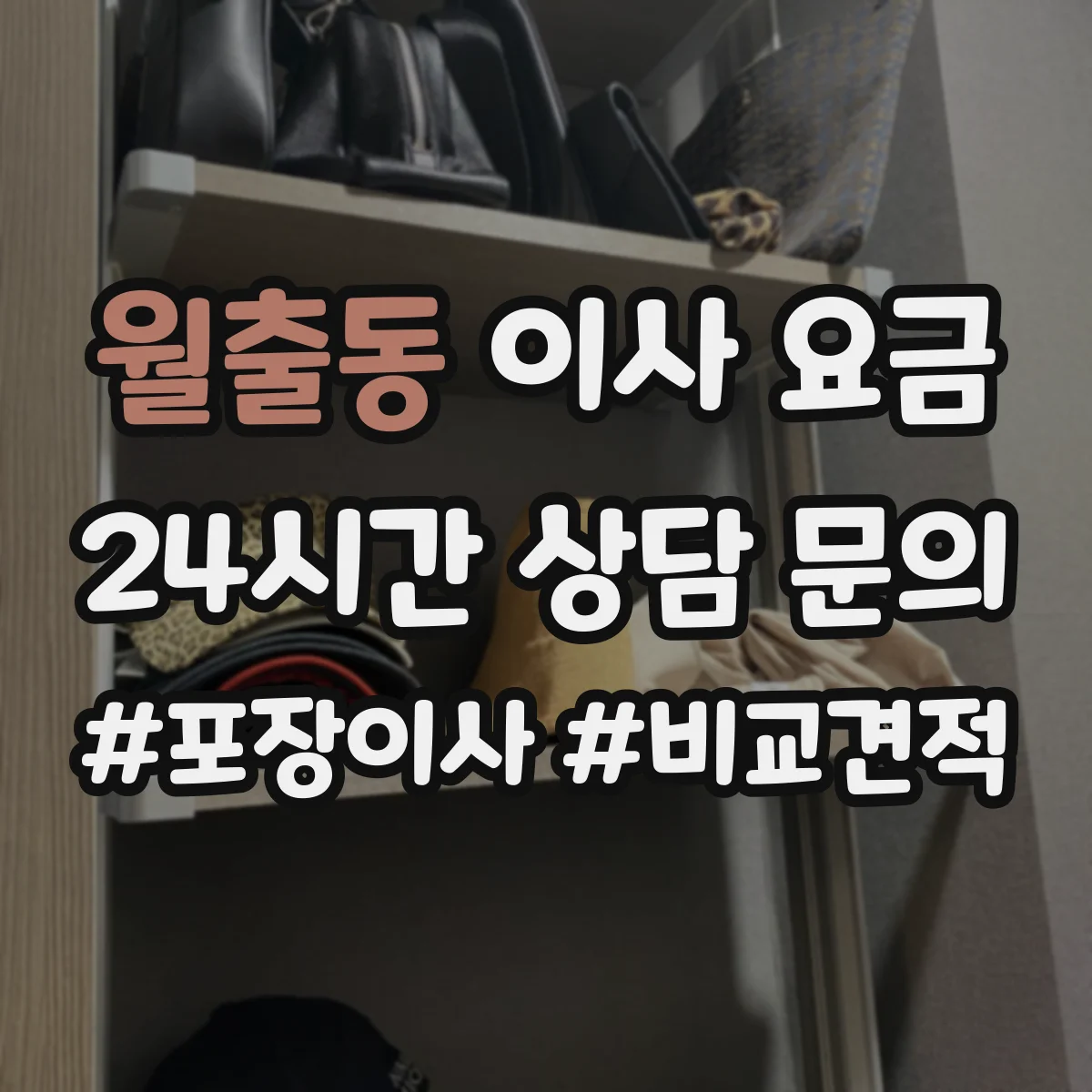 월출동 이사 요금