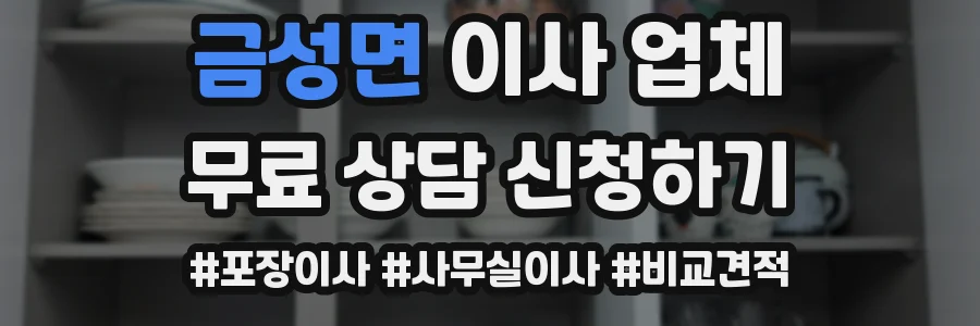 금성면 이사 업체