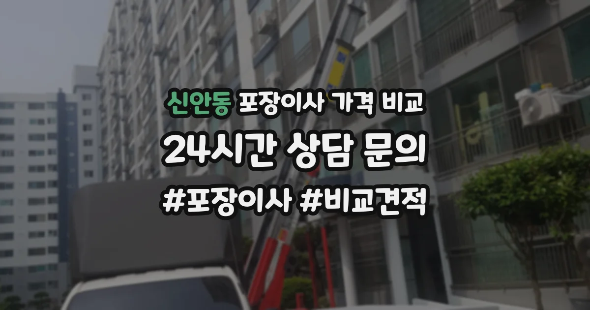 신안동 포장이사 가격 비교