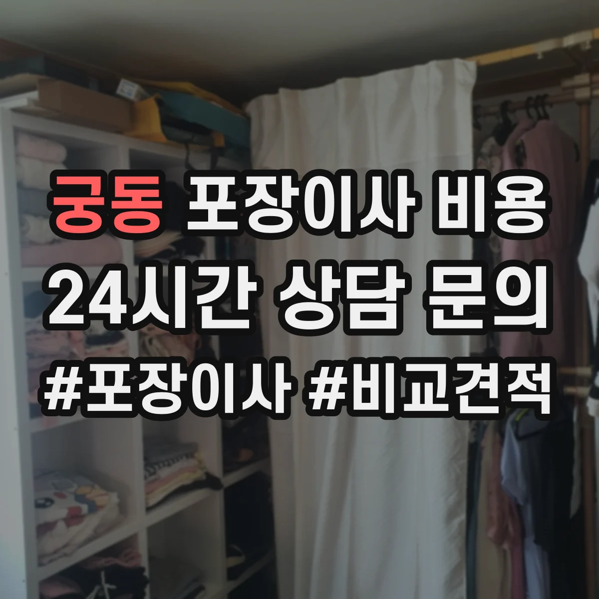 궁동 포장이사 비용
