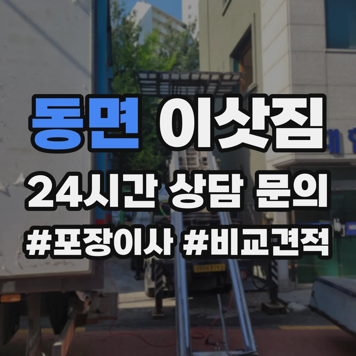 동면 이삿짐