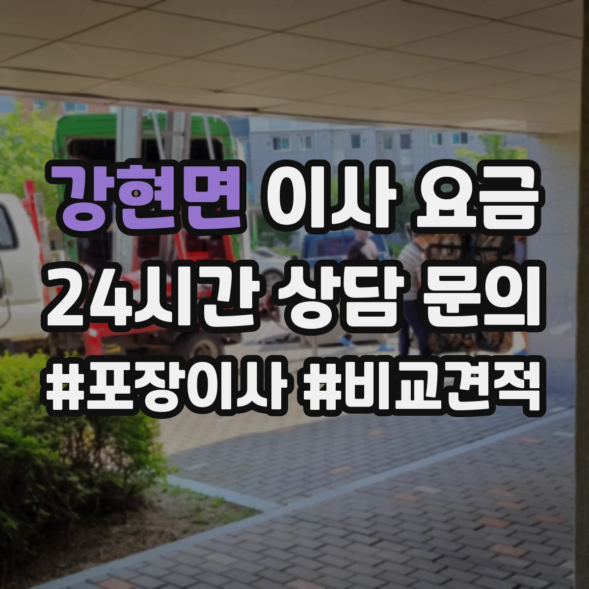 강현면 이사 요금