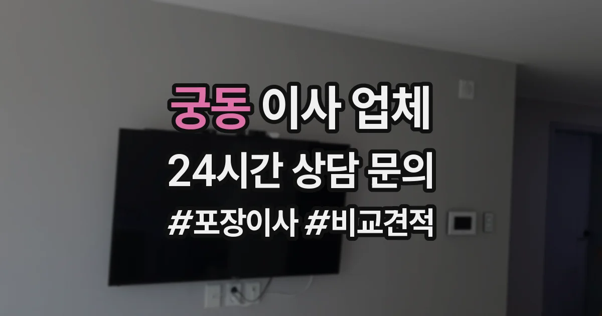 궁동 이사 업체