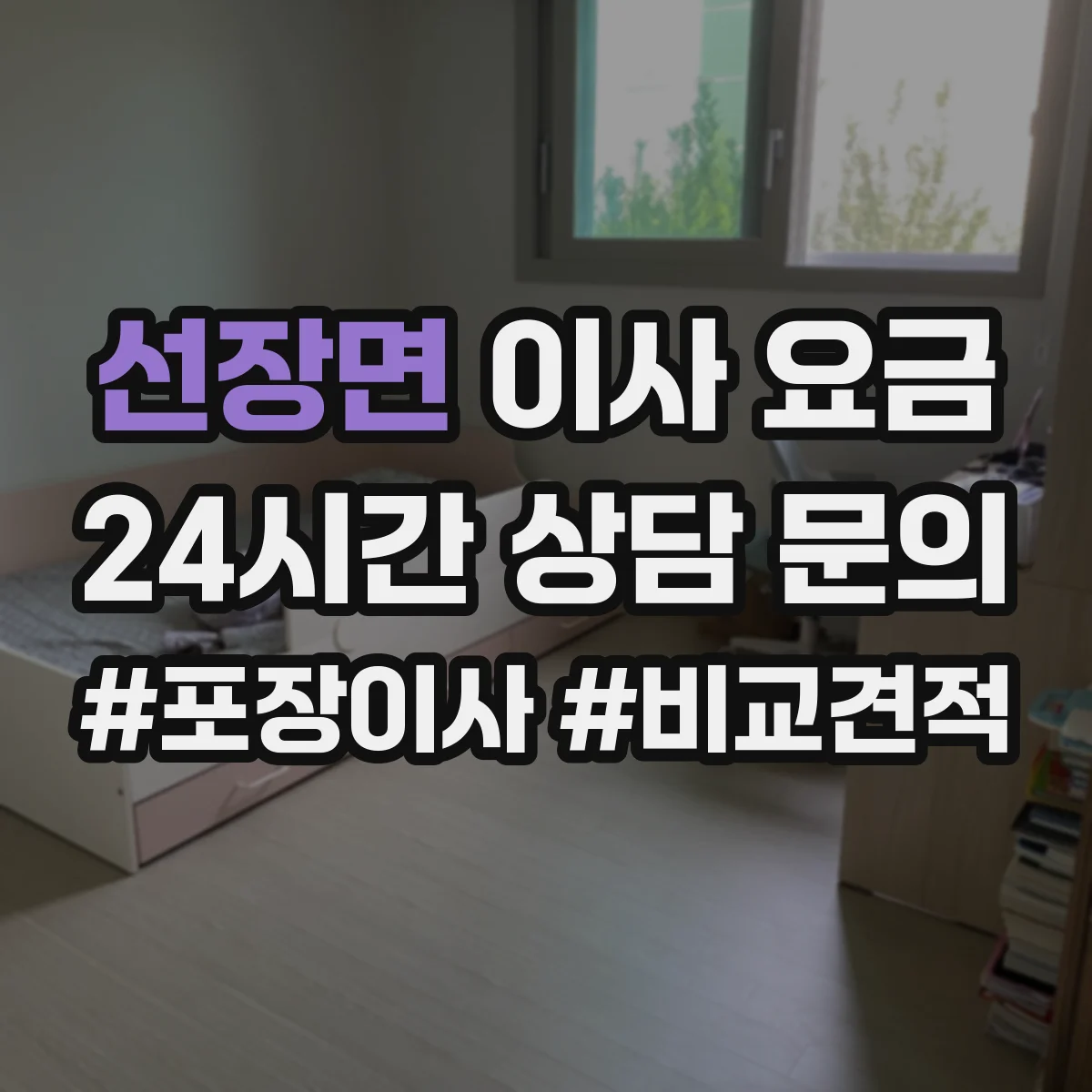 선장면 이사 요금