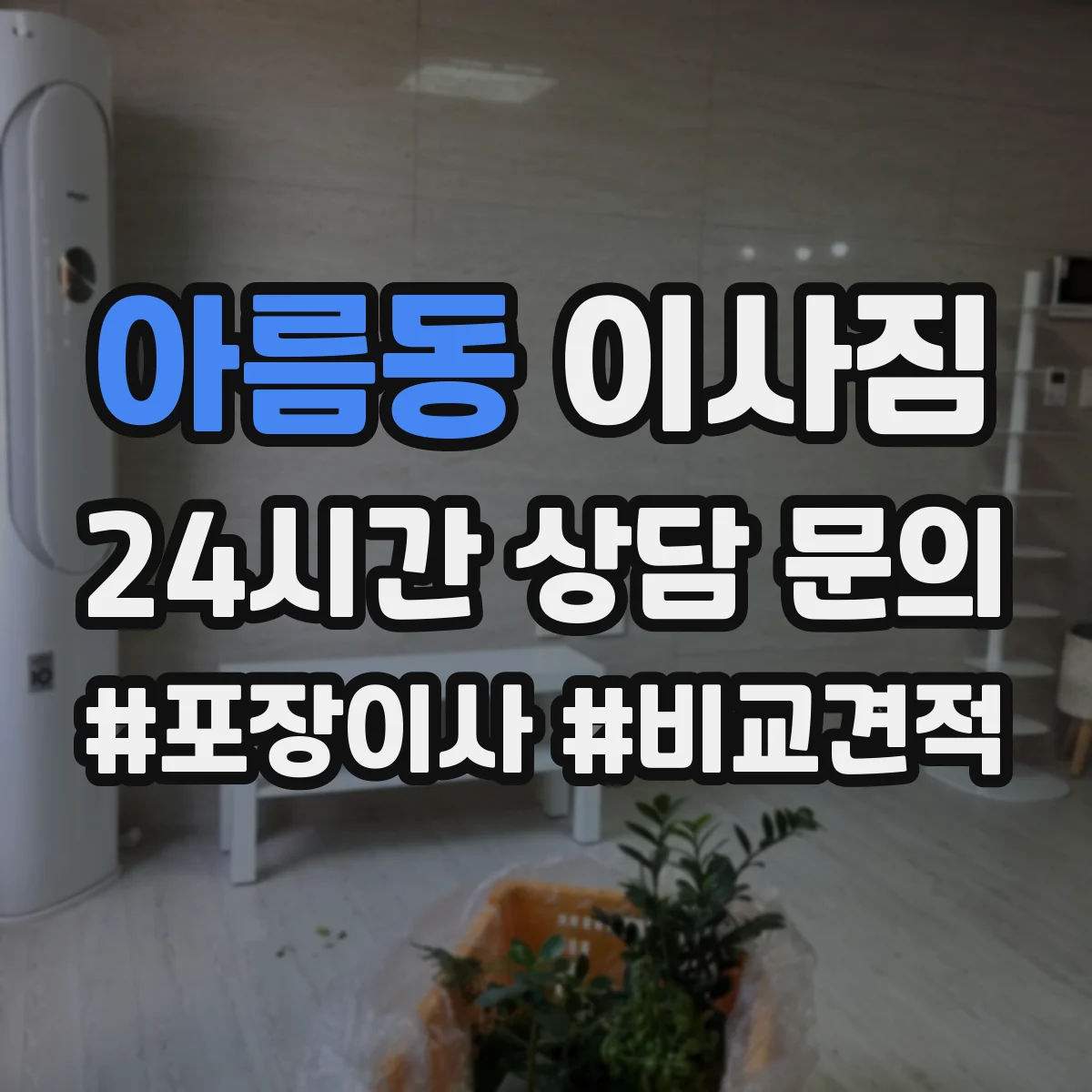 아름동 이사짐