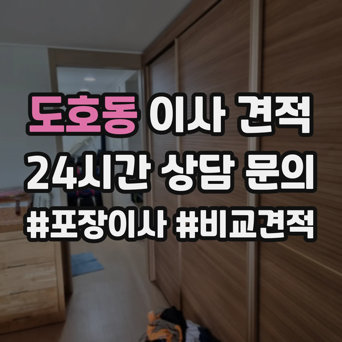 도호동 이사 견적