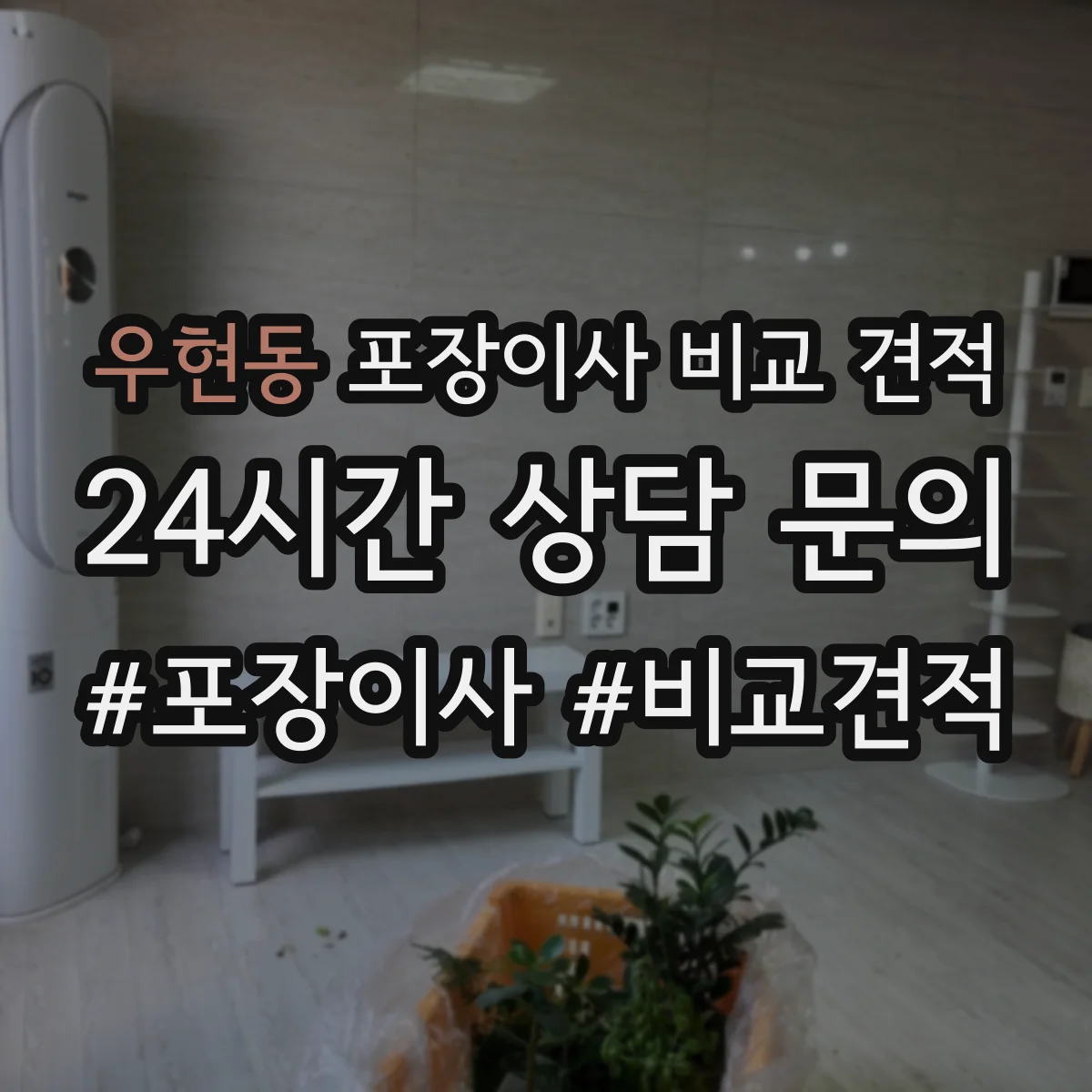 우현동 포장이사 비교 견적