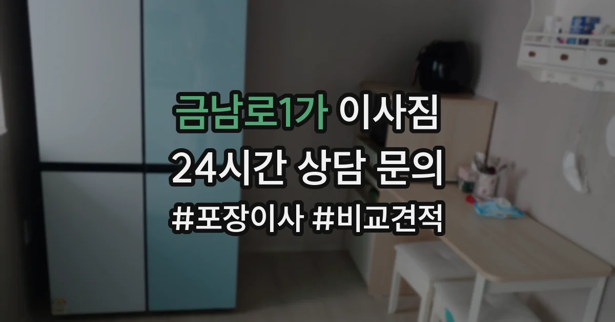 금남로1가 이사짐