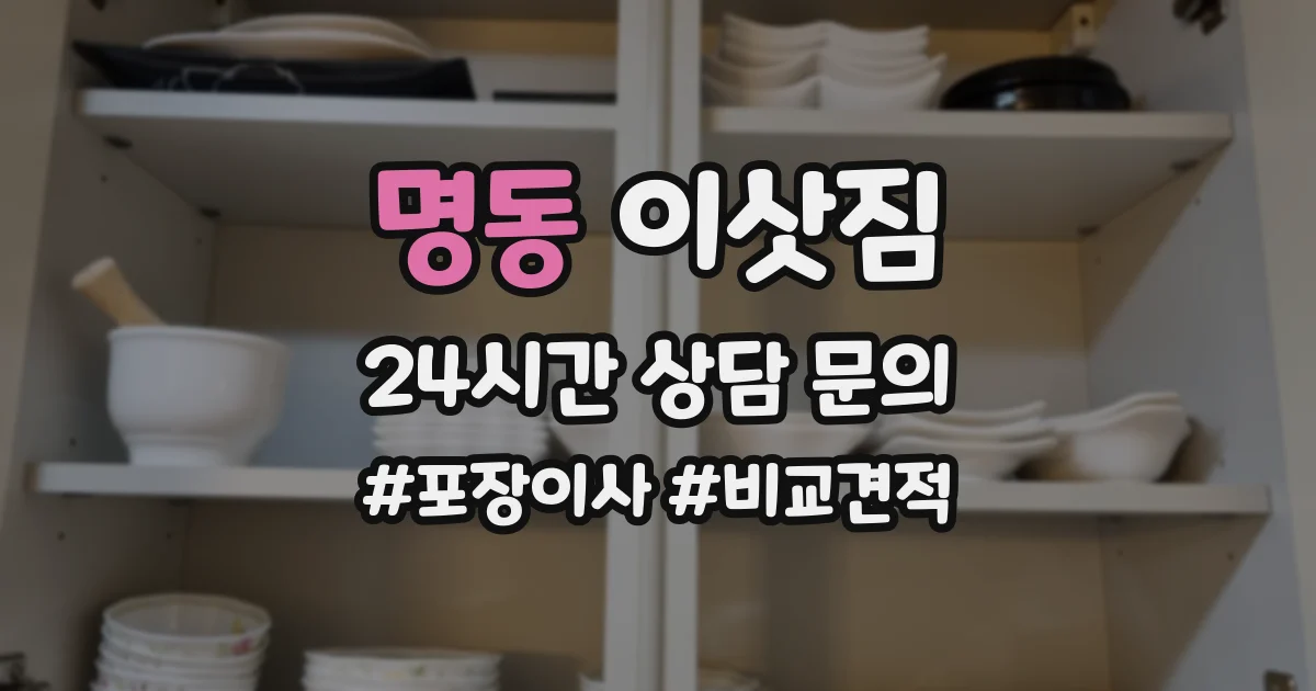 명동 이삿짐
