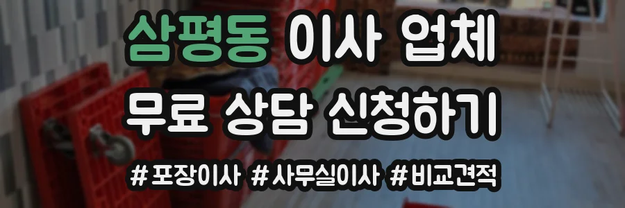 삼평동 이사 업체