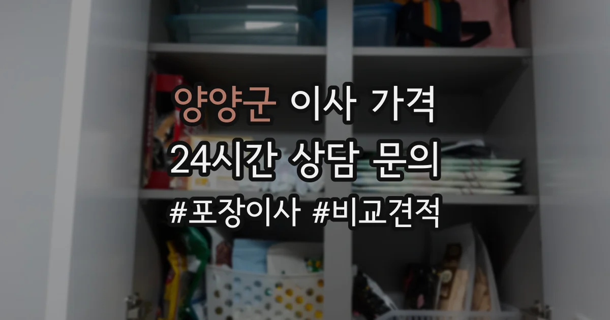 양양군 이사 가격