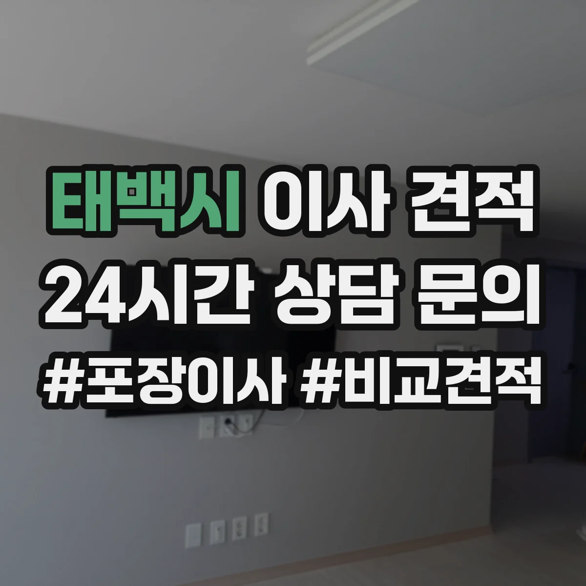 태백시 이사 견적