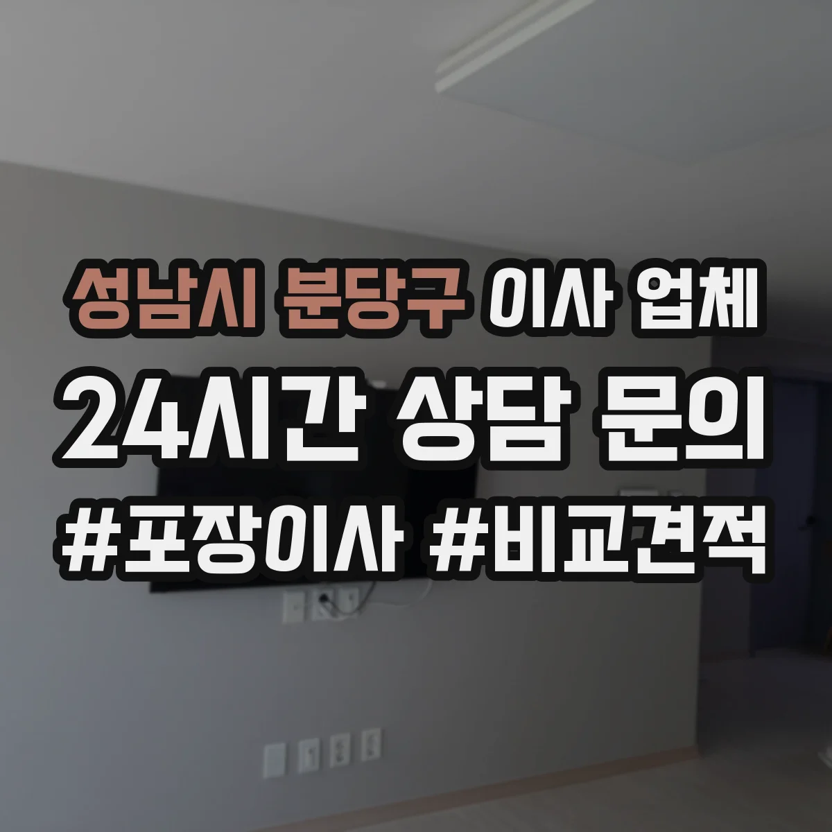 성남시 분당구 이사 업체