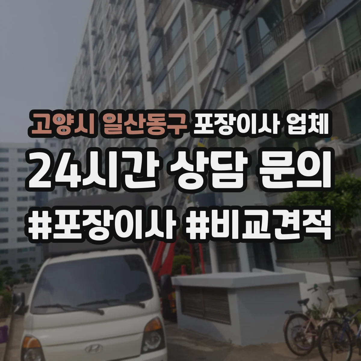 고양시 일산동구 포장이사 업체