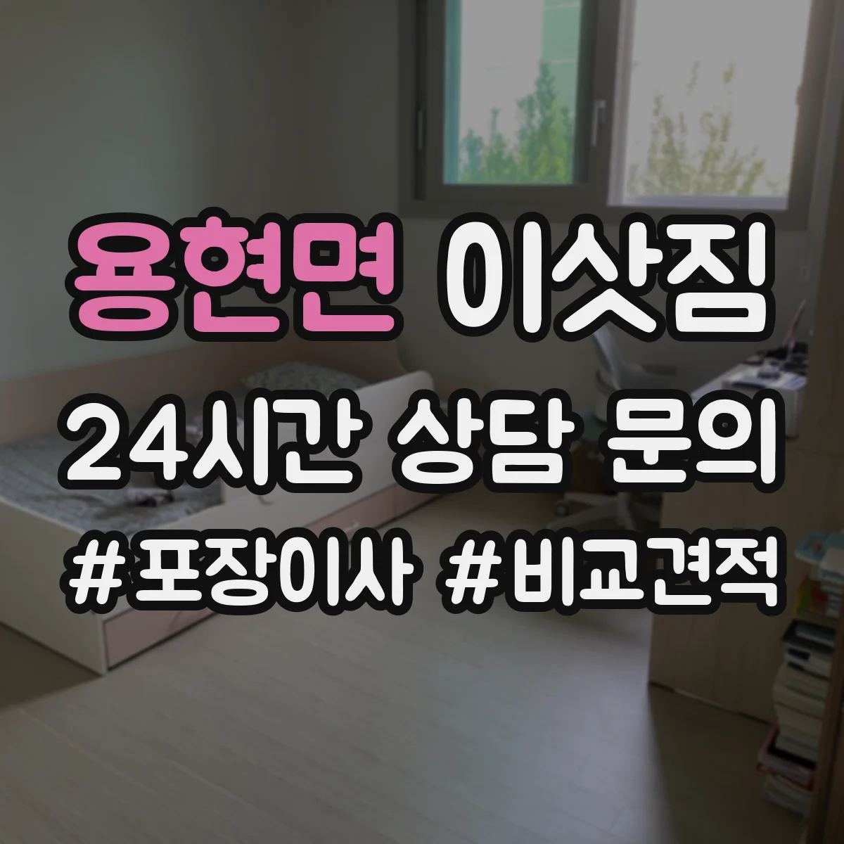 용현면 이삿짐