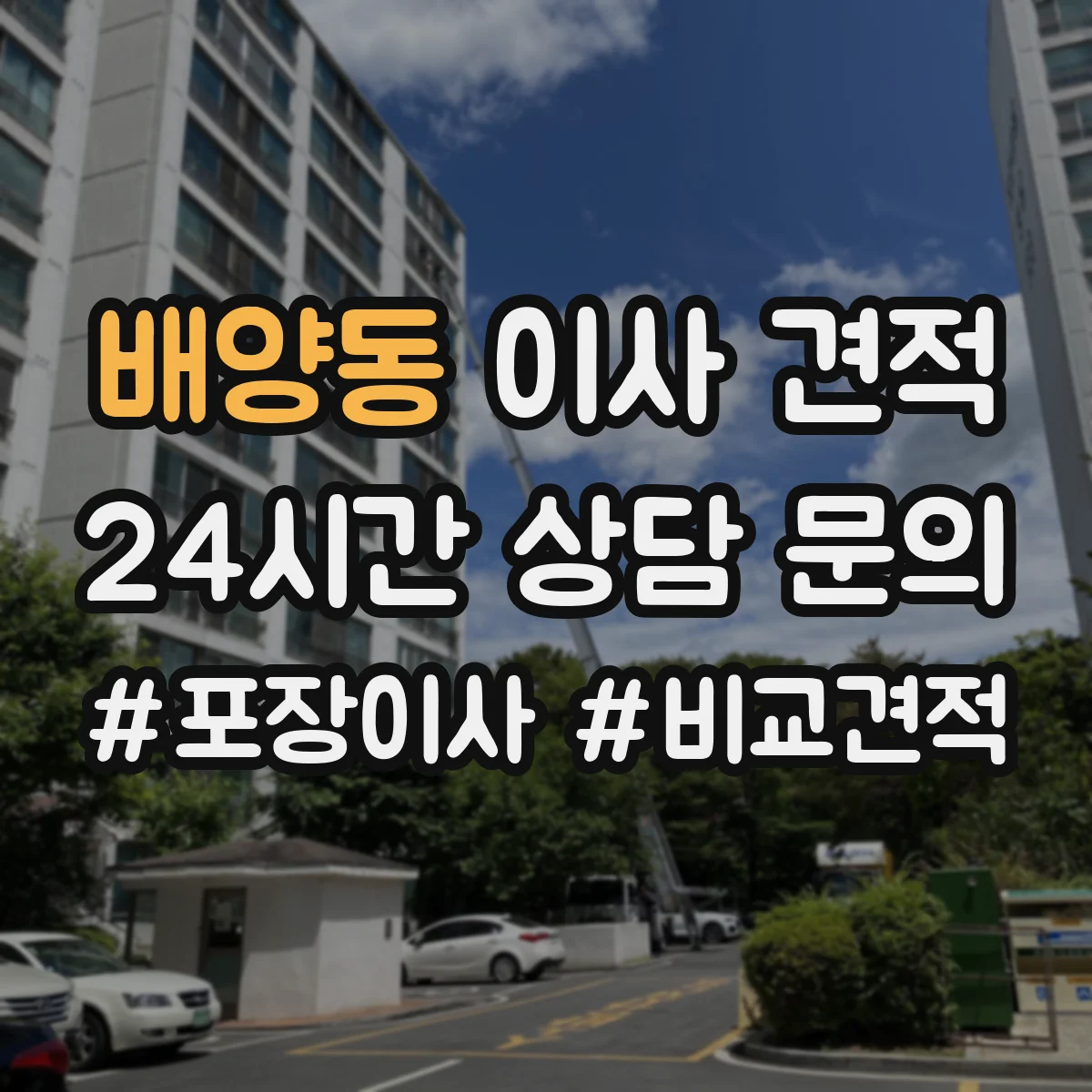 배양동 이사 견적