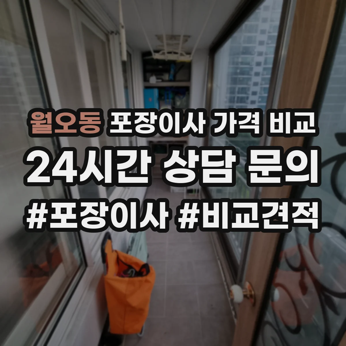 월오동 포장이사 가격 비교
