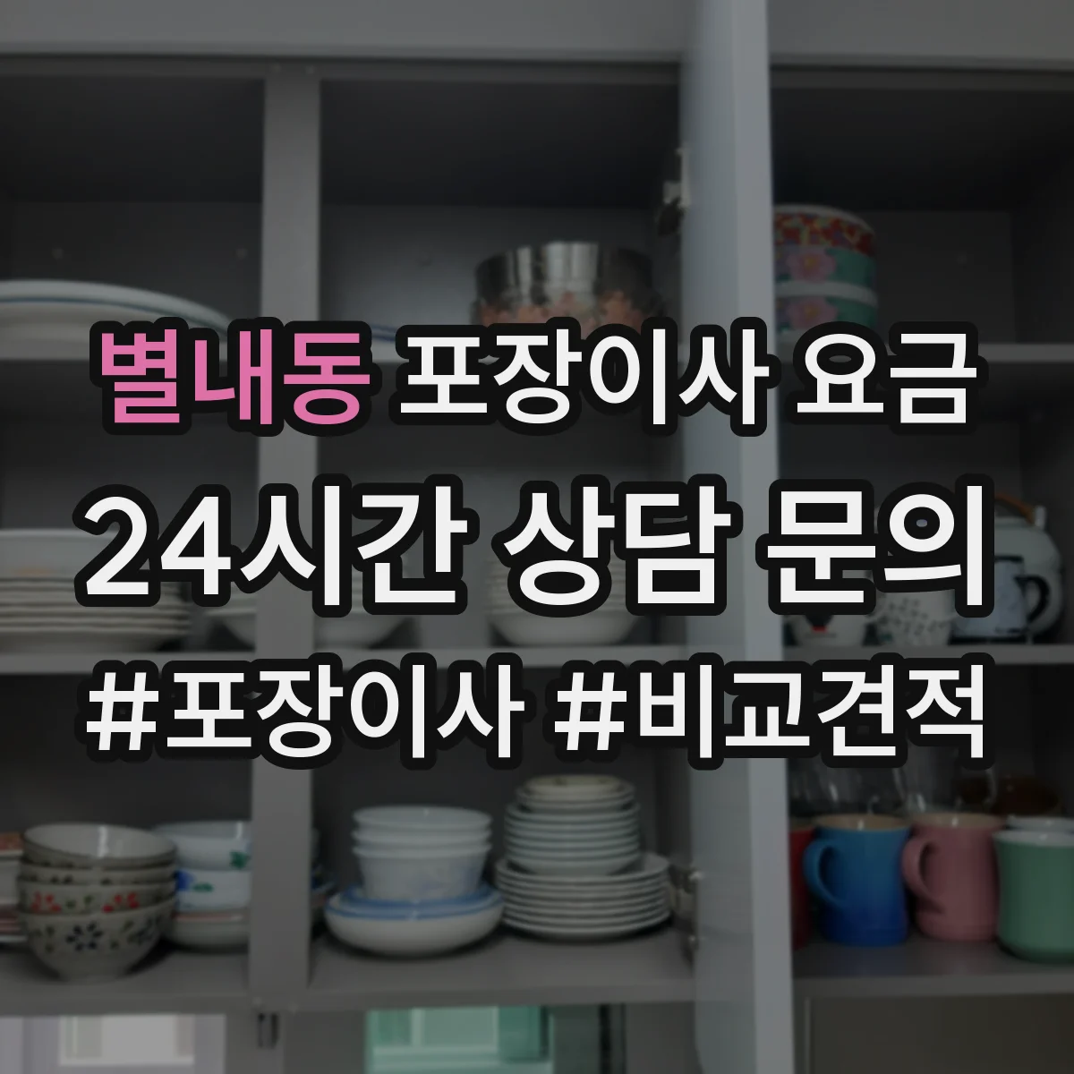 별내동 포장이사 요금