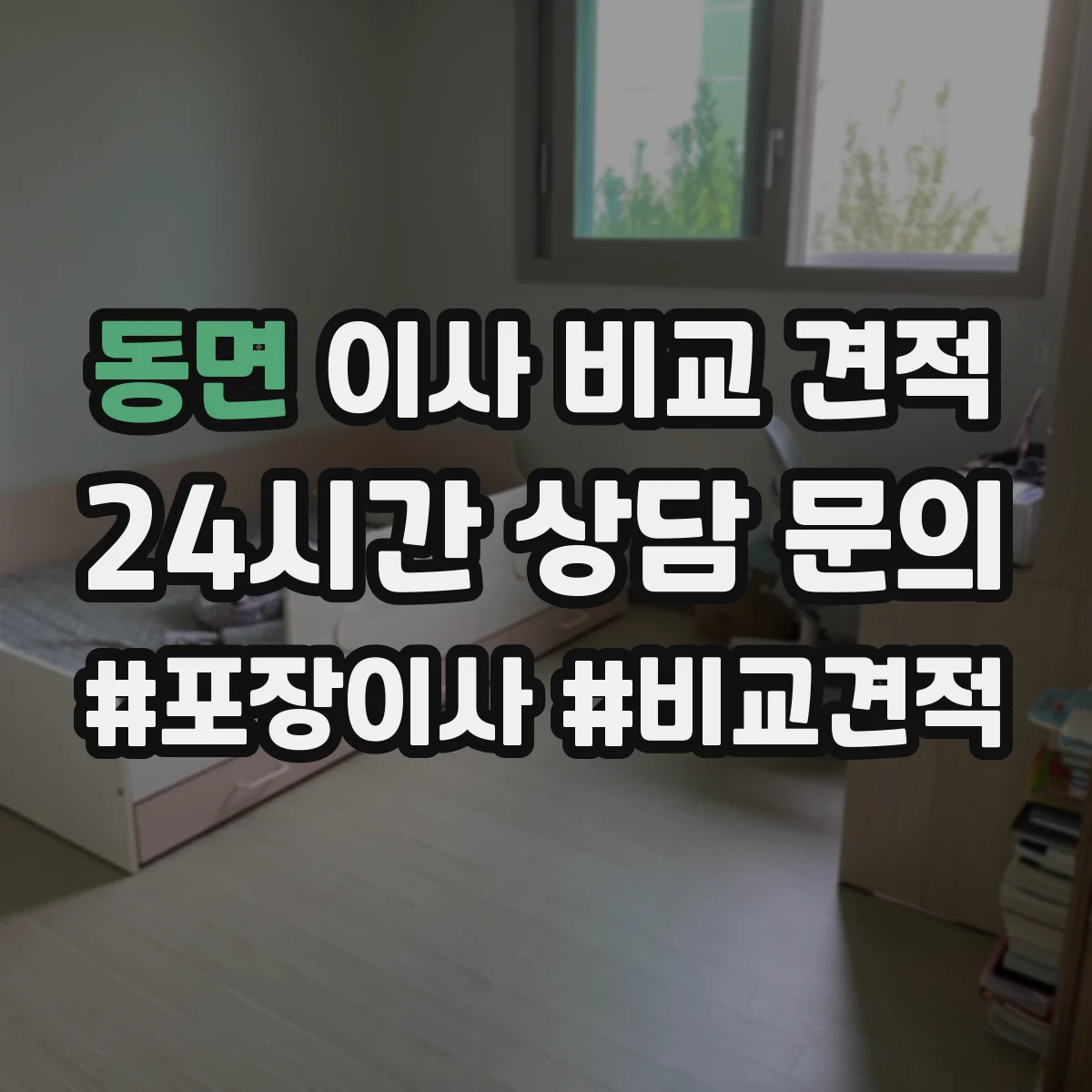 동면 이사 비교 견적