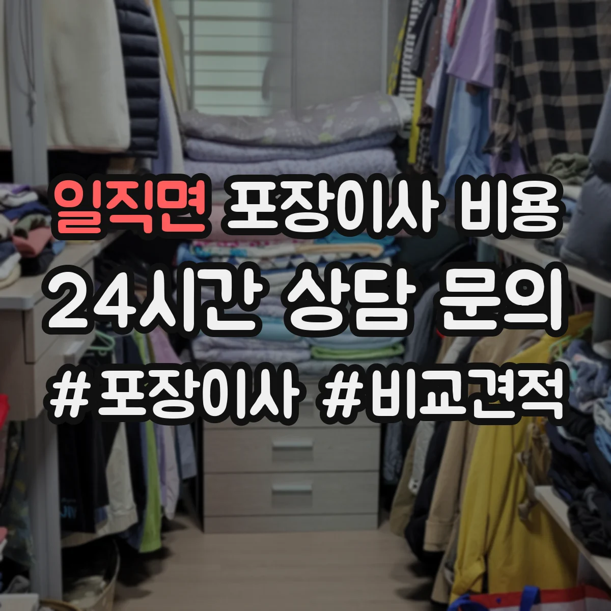 일직면 포장이사 비용